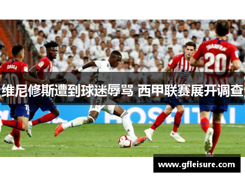 维尼修斯遭到球迷辱骂 西甲联赛展开调查